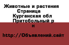  Животные и растения - Страница 11 . Курганская обл.,Притобольный р-н